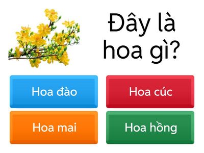 ÔN TẬP CÔNG NGHỆ 4-HKI