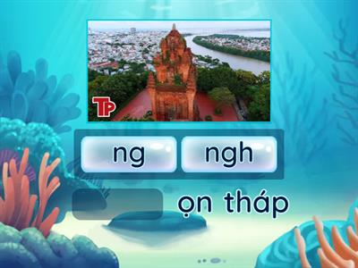 TV - CĐ 14 - Bài 2: ng/ngh