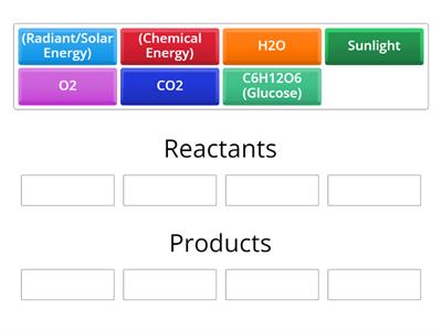 Photosynthesis Equation