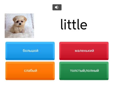 Rainbow English 3 Unit 3 Step 4-5