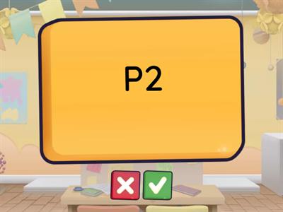 3B Flash cards questions