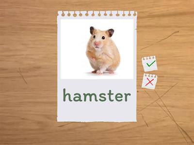 Oviparous/Viviparous