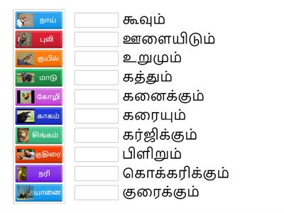 ES-DIF-உயிரினங்களின் ஒலிகள்