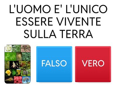 TANTE VITE UN SOLO MONDO