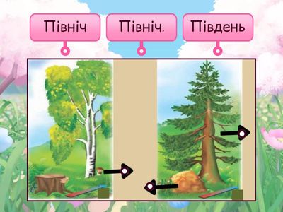 Орієнтування на місцевості