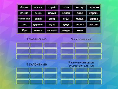 Склонение имён существительных (5 класс)