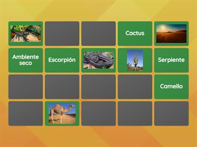 Vocabulario - Flora y fauna del desierto