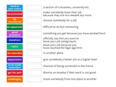 Careers and employment vocabulary