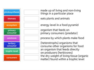Energy Flow Vocabulary Sort