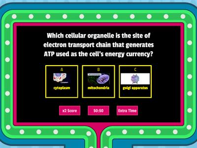 Guess the Organelle-SHS General Biology 1