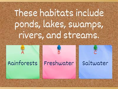 Habitats Quiz - Science Grade 2