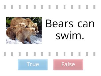 Can -True or False?