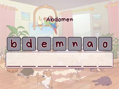 Animals (2º Primaria)