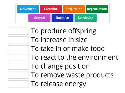 Copy of Extending vocabulary