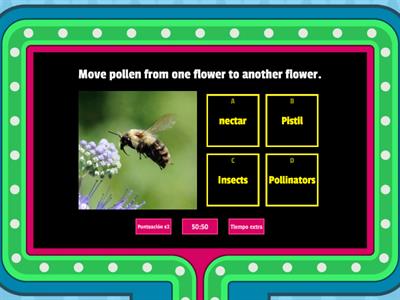 Plants and pollination