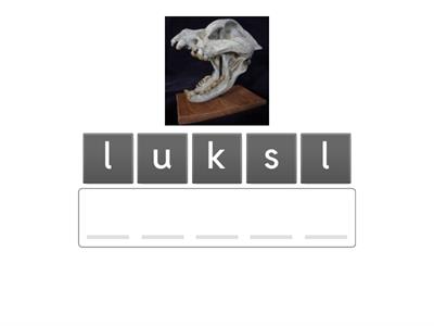 Spelling -ull, -ill, -ell, -all