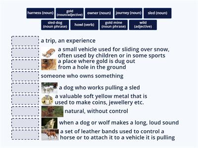 Call of the Wild Chapter 1 Vocabulary