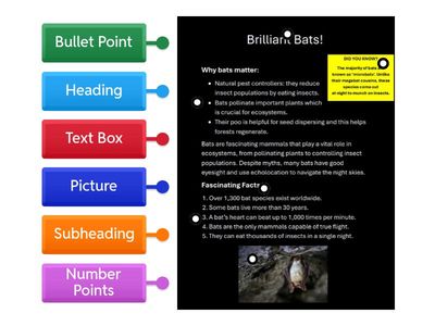 Organisation Features Entry Level