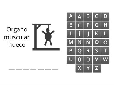 Sistema circulatorio