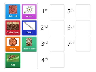 Organise from smallest to largest