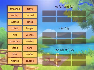 Suffixes: -s, -es, -ed