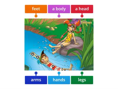 Treetops 1 - Unit 8: Body and face (labelling) 