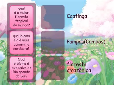 Ciências, biomas ✨