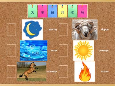 Первые иероглифы