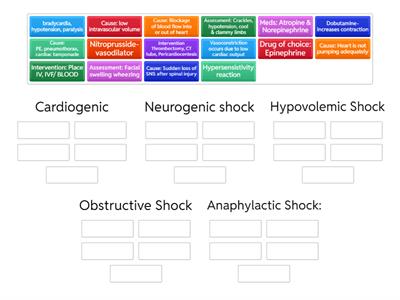 Shock assessments & interventions