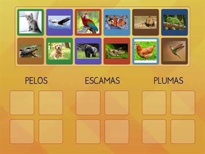 CLASIFICAR ANIMALES 