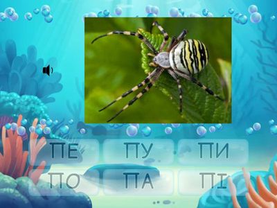 ЛІТЕРА  П  Знайди склад