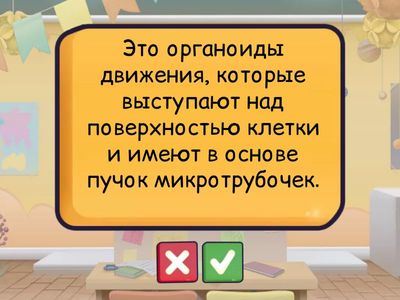 Органоиды клетки