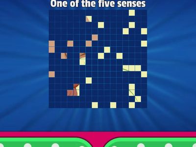 Movers 1 - ELL - image quiz