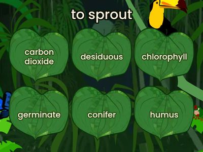 Science Test 4 Reviewer