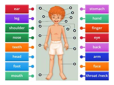 Parts of the body