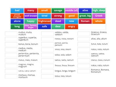 Adjectives - 1st and 2nd Declension Match Up