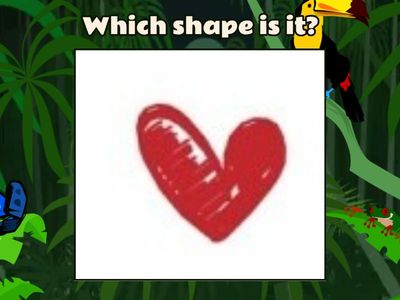 Shape Quiz