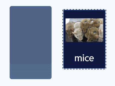 1 Irregular Plurals match Round Up Starter