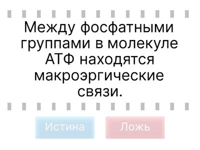 Повторение 10 класс
