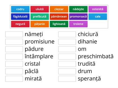 Povestea florii - soarelui (vocabular)