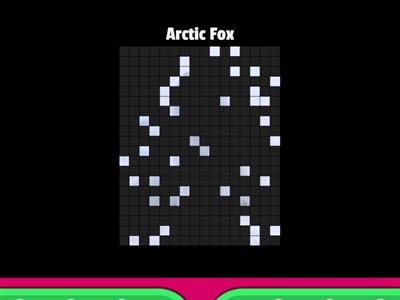 Arctic Animals