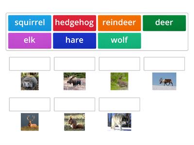 Rainbow English 5 Unit 6 Step 4