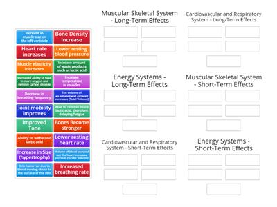 Week 29/30 Long-Term and Short-Term Effects of Exercise