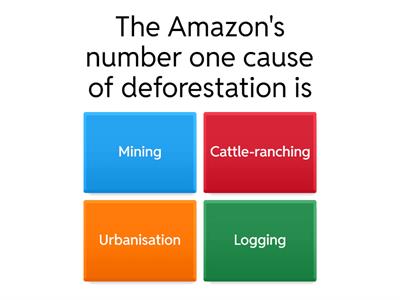 Deforestation in the Rainforest