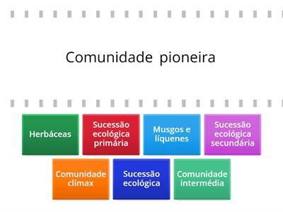 Sucessões ecológicas