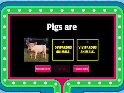 VIVIPAROUS AND OVIPAROUS ANIMALS 2