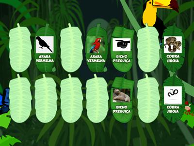 JOGO DA MEMÓRIA DOS  ANIMAIS DA FLORESTA