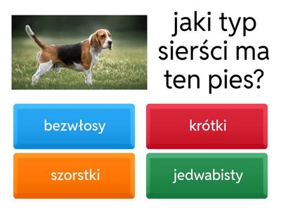 typy sierści 