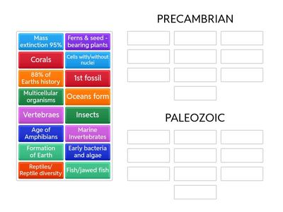 Geologic Time Scale Precambrian & Paleozoic (PART 1)