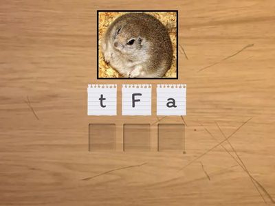 Adjectives - appearance 